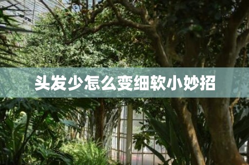 头发少怎么变细软小妙招