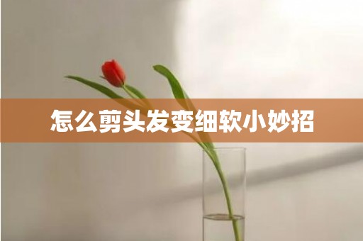 怎么剪头发变细软小妙招