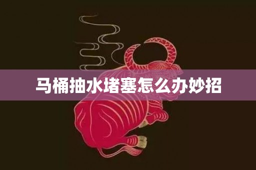 马桶抽水堵塞怎么办妙招