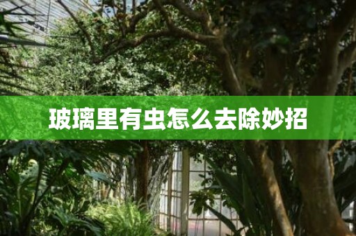 玻璃里有虫怎么去除妙招