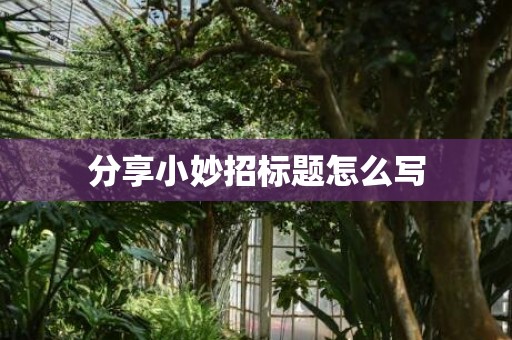 分享小妙招标题怎么写