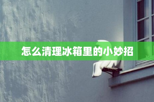 怎么清理冰箱里的小妙招