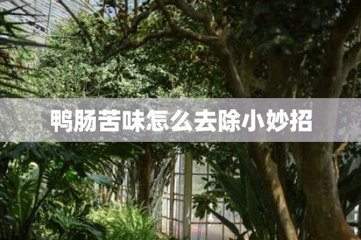 鸭肠苦味怎么去除小妙招