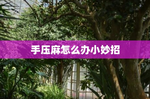 手压麻怎么办小妙招