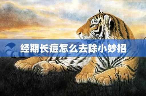 经期长痘怎么去除小妙招