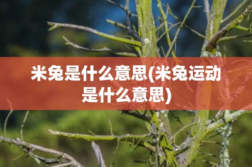 米兔是什么意思(米兔运动是什么意思)