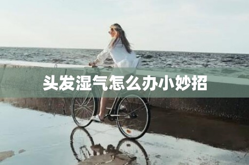 头发湿气怎么办小妙招