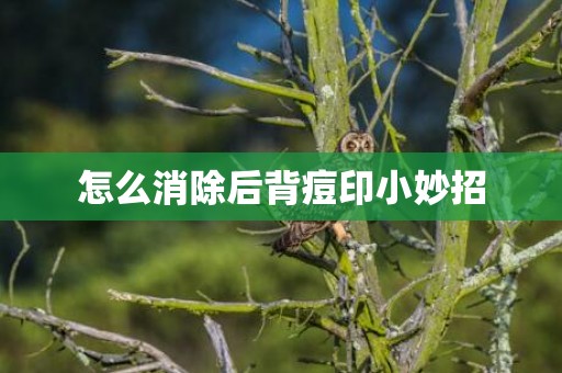 怎么消除后背痘印小妙招