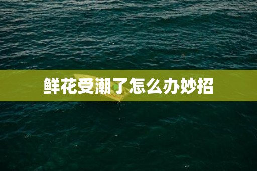 鲜花受潮了怎么办妙招