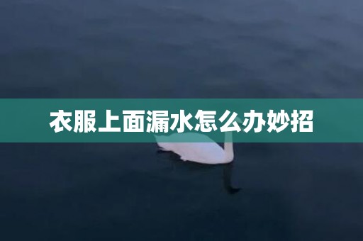 衣服上面漏水怎么办妙招