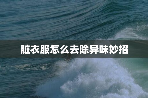 脏衣服怎么去除异味妙招