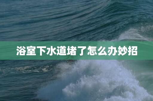浴室下水道堵了怎么办妙招