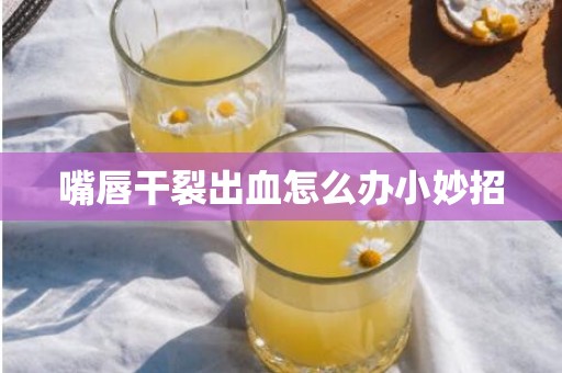 嘴唇干裂出血怎么办小妙招
