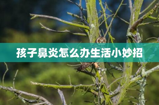 孩子鼻炎怎么办生活小妙招