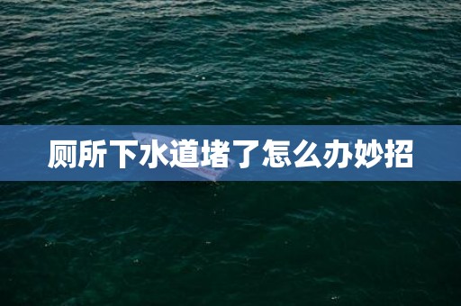 厕所下水道堵了怎么办妙招