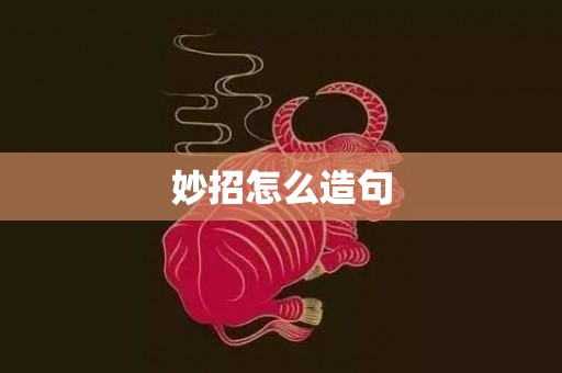 妙招怎么造句