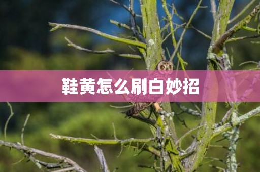 鞋黄怎么刷白妙招