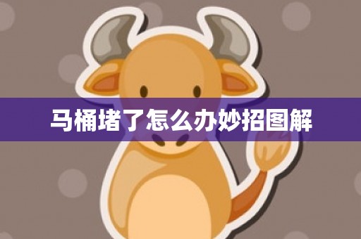马桶堵了怎么办妙招图解