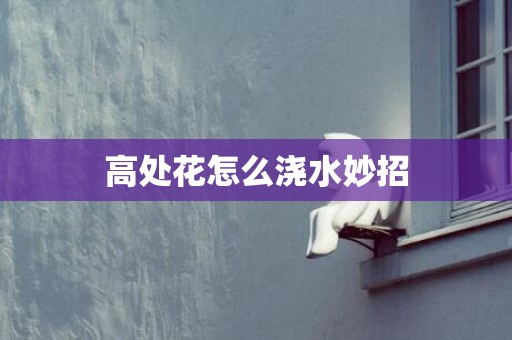 高处花怎么浇水妙招