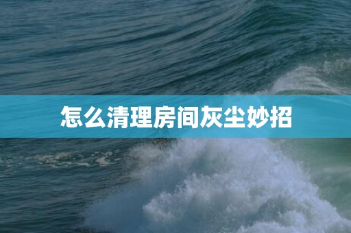 怎么清理房间灰尘妙招