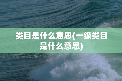 类目是什么意思(一级类目是什么意思)