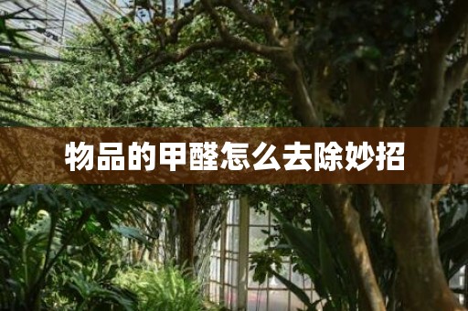 物品的甲醛怎么去除妙招