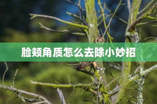 脸颊角质怎么去除小妙招