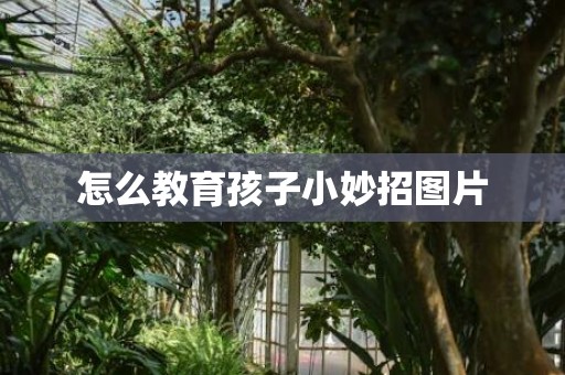 怎么教育孩子小妙招图片