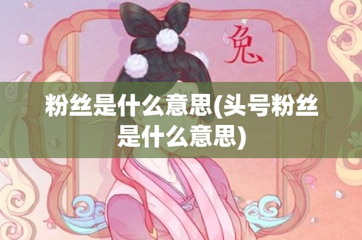 粉丝是什么意思(头号粉丝是什么意思)