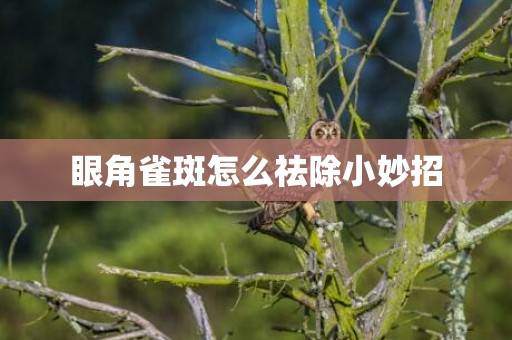 眼角雀斑怎么祛除小妙招