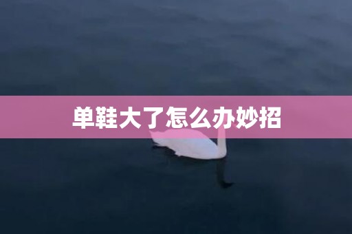 单鞋大了怎么办妙招