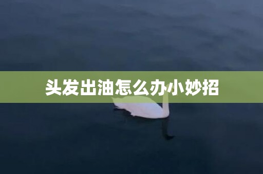 头发出油怎么办小妙招