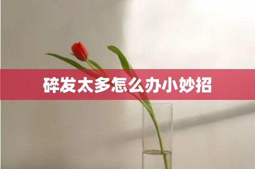 碎发太多怎么办小妙招