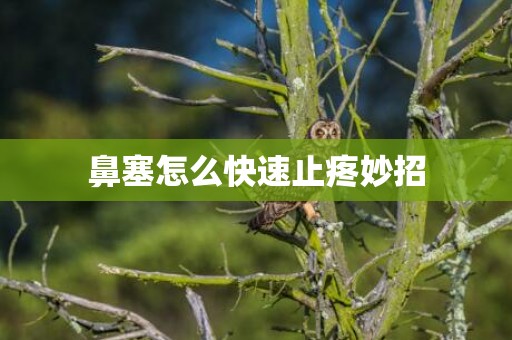 鼻塞怎么快速止疼妙招