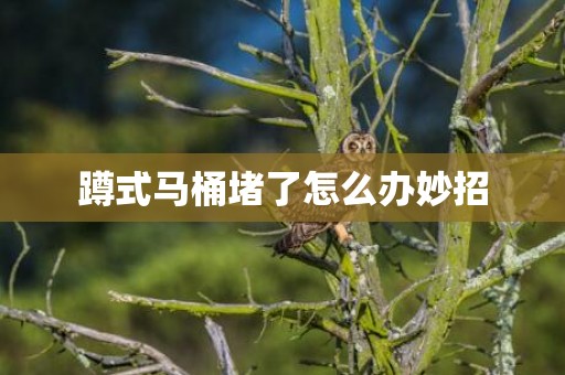 蹲式马桶堵了怎么办妙招