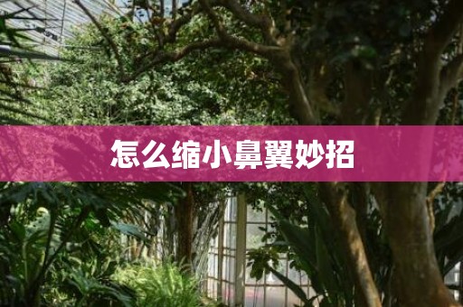 怎么缩小鼻翼妙招