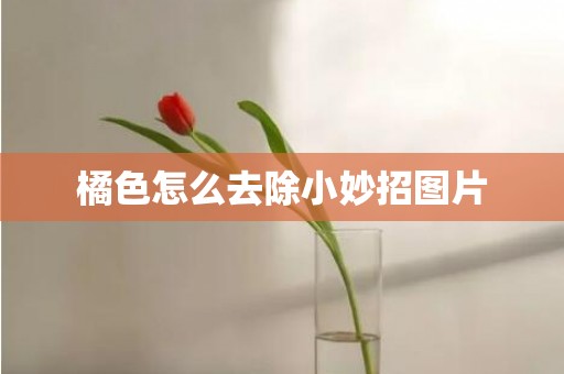 橘色怎么去除小妙招图片