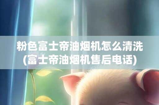 粉色富士帝油烟机怎么清洗(富士帝油烟机售后电话)