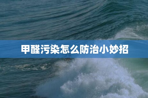 甲醛污染怎么防治小妙招