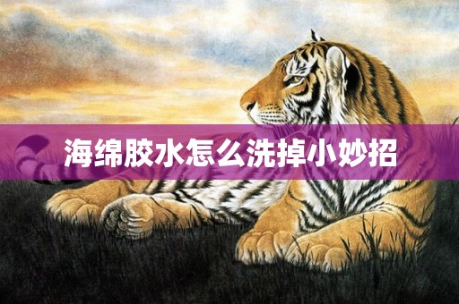 海绵胶水怎么洗掉小妙招