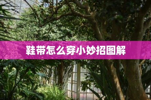 鞋带怎么穿小妙招图解