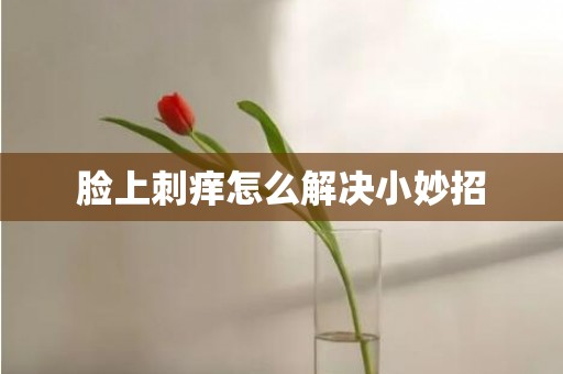 脸上刺痒怎么解决小妙招