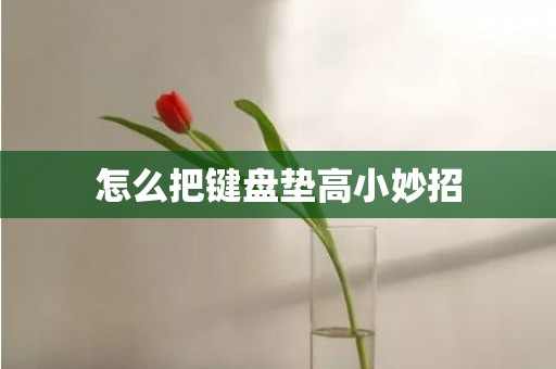 怎么把键盘垫高小妙招