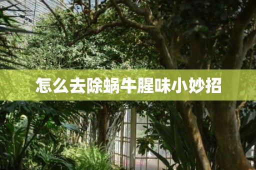 怎么去除蜗牛腥味小妙招