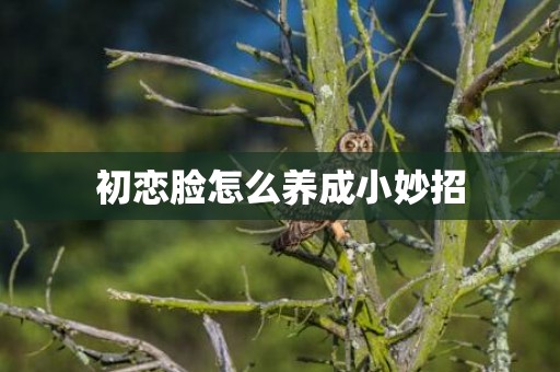 初恋脸怎么养成小妙招