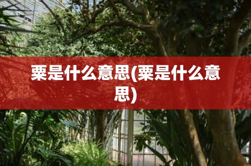 粟是什么意思(粟是什么意思)