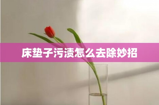 床垫子污渍怎么去除妙招