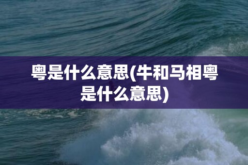 粤是什么意思(牛和马相粤是什么意思)