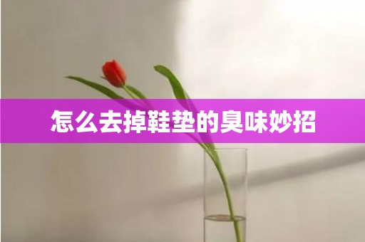 怎么去掉鞋垫的臭味妙招