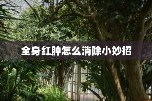 全身红肿怎么消除小妙招